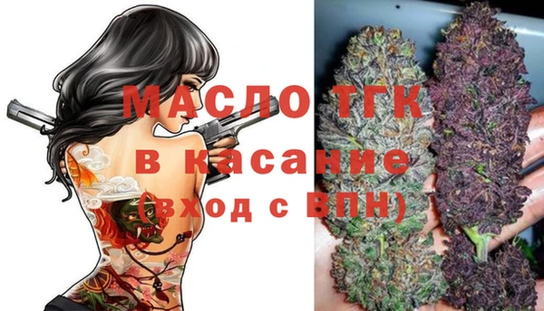 индика Белокуриха